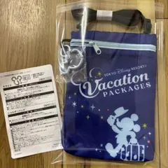 ディズニーバケーション　バケパ