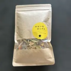 お値下げしました！やさいのチップス 45g 開屋本舗 野菜チップスのサムネイル