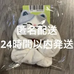 Item thumbnail for item c1e5f9a0-607f-4852-83b4-447d45a34e1c