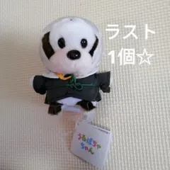 ディズニーストア 京都ポルタ うるぽちゃちゃん ぬいぐるみ ミッキー