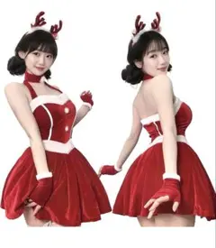 サンタ コスプレ衣装 フリーサイズ 5点セット