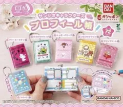 サンリオキャラクターズ プロフィール帳 豆ガチャ本 匿名配送