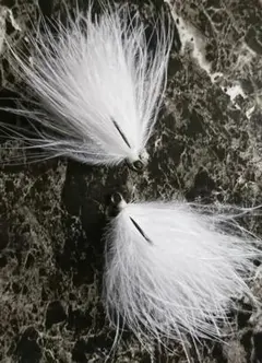 Item thumbnail for item f7071502-0335-43e0-a658-318be03a3017