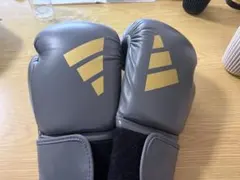아디다스 스피드 50 복싱 글러브 10oz