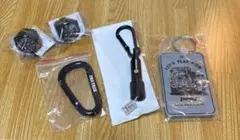 Item thumbnail for item 68eda53a-42c8-48b6-a2cc-529664d78f59