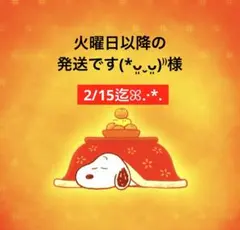 火曜日以降の発送です(*ᴗ͈ˬᴗ͈)⁾⁾様 専用ページ