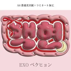 ぷっくり ネームボード EXO セフン KPOP オーダー - メルカリ