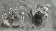 ちいかわ チョコサプ ちいかわ達セット