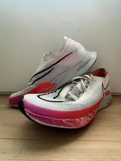 Item thumbnail for item 82cb31eb-86eb-434d-97d2-4ba9be53f310