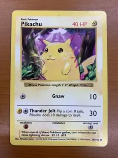 m79894808660_1.jpg?1768966453