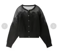 【送込】スナイデル デコルテシアーエンブロイダリーニットプルオーバー