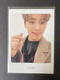 SEVENTEEN トレカ ディノ チャニ