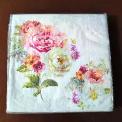 Item thumbnail for item 5cdf7c92-b571-42d0-8c64-878680469032