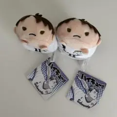 ハイキュー!! のるキャラマスコット AD牛島若利