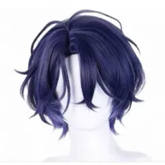 あんさんぶるスターズ!! あんスタ 甘楽チトセ つづらちとせ ウィッグ