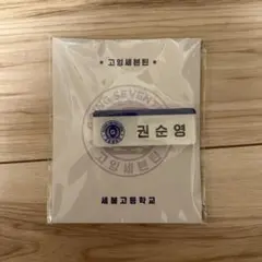 SEVENTEEN ホシ マグネット
