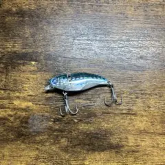 Item thumbnail for item 99fb8b13-e33c-400c-9a88-426e90535717