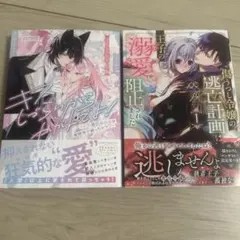 Item thumbnail for item cb673984-73bc-49db-a838-5d9d509fd01f