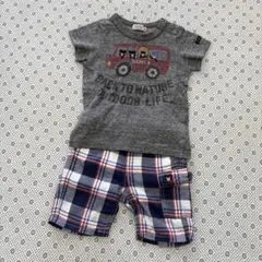 こつぶ様専用　ミキハウス　ダブルビー　半袖Tシャツ　ハーフパンツ　上下セット