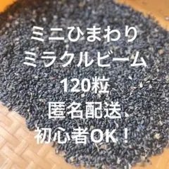 2026年最新】たくさん咲くひまわりの人気アイテム - メルカリ