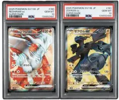 レシラム＆ゼクロムGX HR PSA9 2019 レシラム&ゼクロムGX PSA 9 - カルドバ