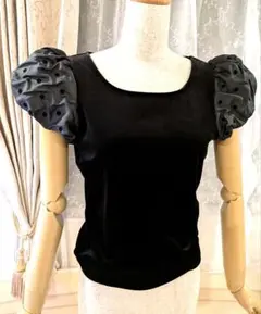 【専用】♡M'S GRACY♡ 半袖Tシャツ 40 専用】♡M'S GRACY♡ 半袖Tシャツ 40 楽天市場】エムズ