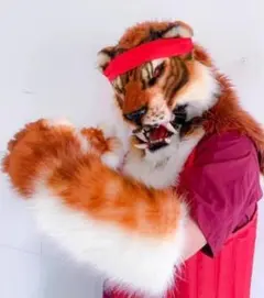 翌日発送可能 リアル レッサーパンダ 着ぐるみ コスプレ マスク 一式 