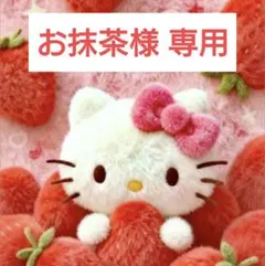 ✩.* メニーミニー様 専用ページ ✩.* - メルカリ