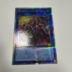 W:Pファンシーボール プリシク - メルカリ