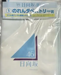 【新品未使用】欅坂46 くじ ワンモアチャンス賞 サイン入り クッション サイン入りBIGクッション「欅坂46くじ ワンモアチャンス賞
