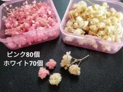 Item thumbnail for item 24698492-3c3c-4e5d-b2d1-9e93d8551e1a