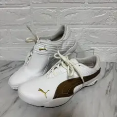 Item thumbnail for item 36597a21-cf3a-444b-9456-011865528b47