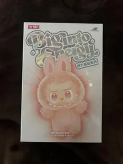 取引中【開封のみ・未使用】ラブブ 2026年最新】Labubu ぬいぐるみ 未開封の人気アイテム - メルカリ