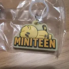 SEVENTEEN MINITEEN ぷっくりめじるしアクセサリー　ホシ