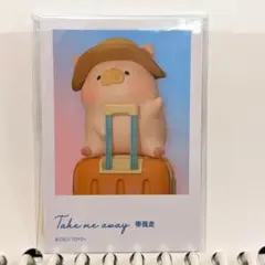 カード　TOYZEROPLUS×CICI'S STORY 子豚lulu トラベル