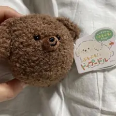 ぷるぷるトイプードル ぬいぐるみ ブラウンのサムネイル