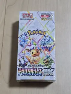 [新品未開封] シュリンク付き未開封BOX　テラスタルフェス