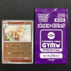 ウインディ PROMO