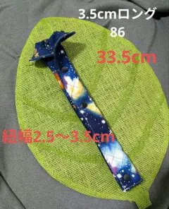 Item thumbnail for item 7b443b1e-b5ee-469b-af53-84b83692e054