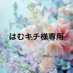 はむキチ様専用ページ