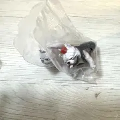 フレンチブルドッグ フレブル ガチャガチャ