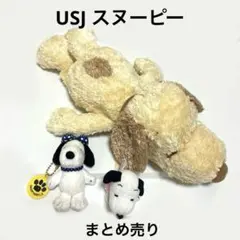 USJ スヌーピー 3個セットのサムネイル