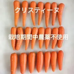 ★栽培期間中農薬不使用★ 人参 クリスティーヌのサムネイル