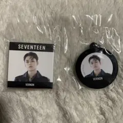 セブチ レコードマグネット バーノン