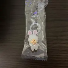 Item thumbnail for item 705f8f2f-16b9-47dd-a86e-22252f26e224