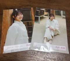 櫻坂46 向井純葉 静寂の暴力MV 生写真