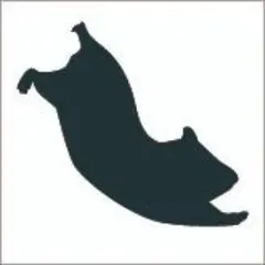 Item thumbnail for item 27a52e73-3cfb-4eb8-924d-1fafec75a275