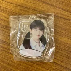 IVE レイ　ガチャガチャ　アクリルチャーム