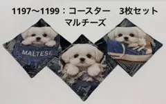 1197〜1199：コースター　マルチーズ　3枚セット