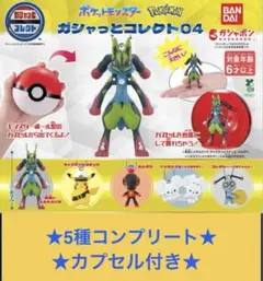 ポケットモンスター ガシャっとコレクト04 5種セット